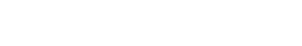 Pro Passport New York